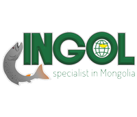 Ingol